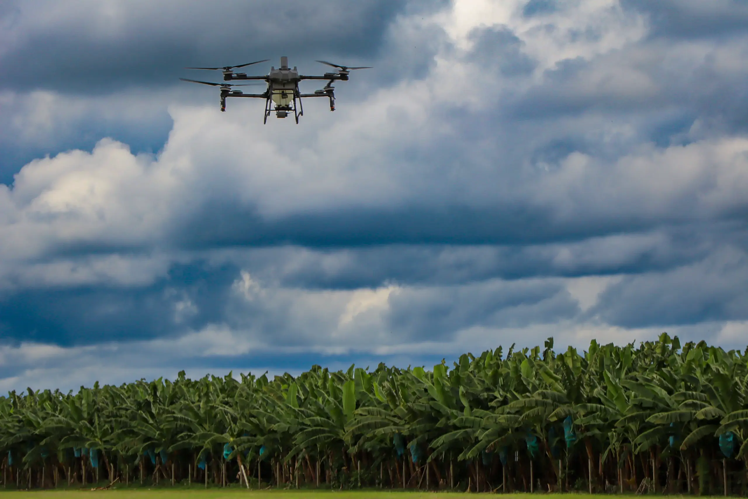 asegurar un dron agricola